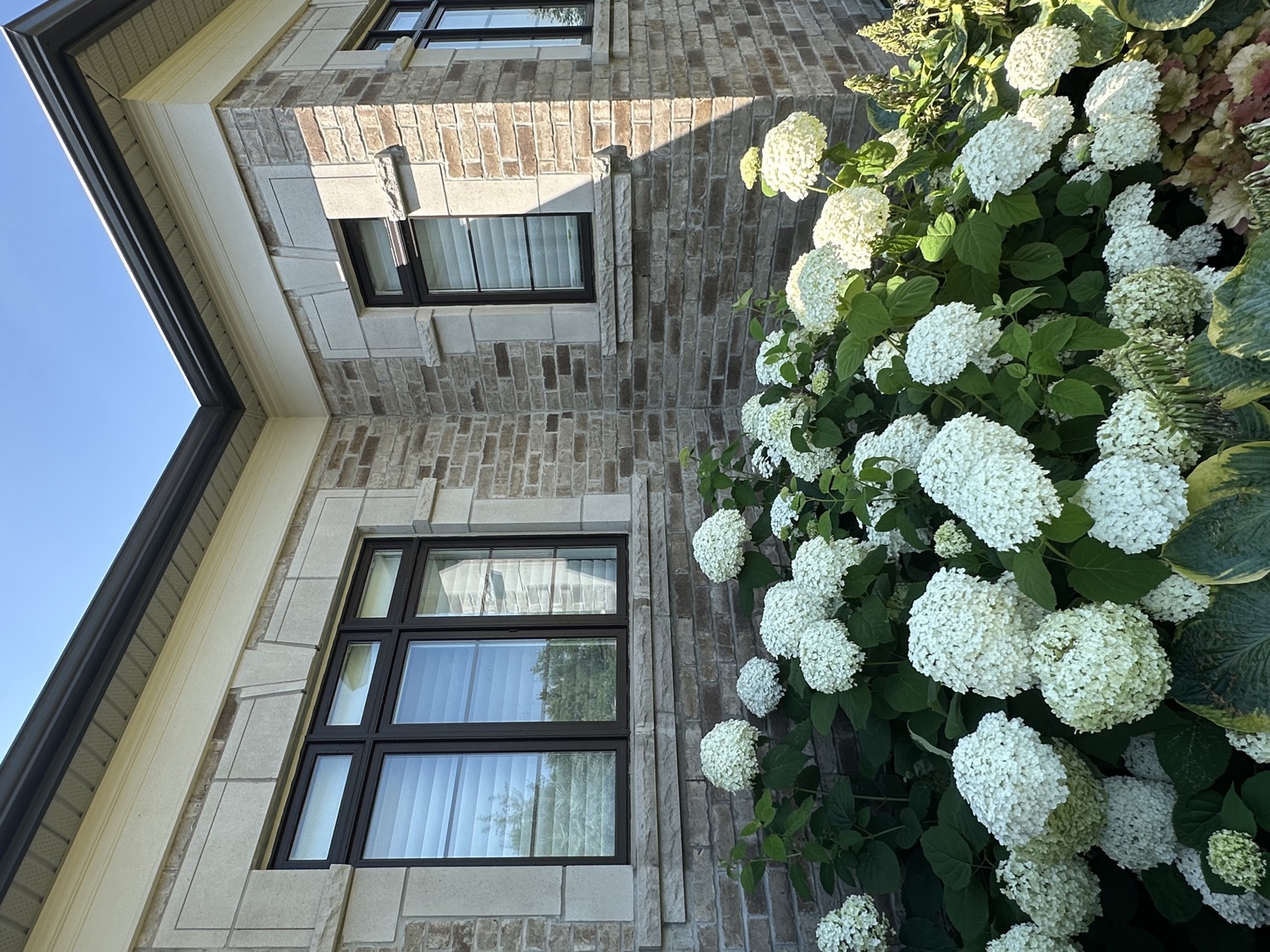 Stone home with spotless windows and gardens